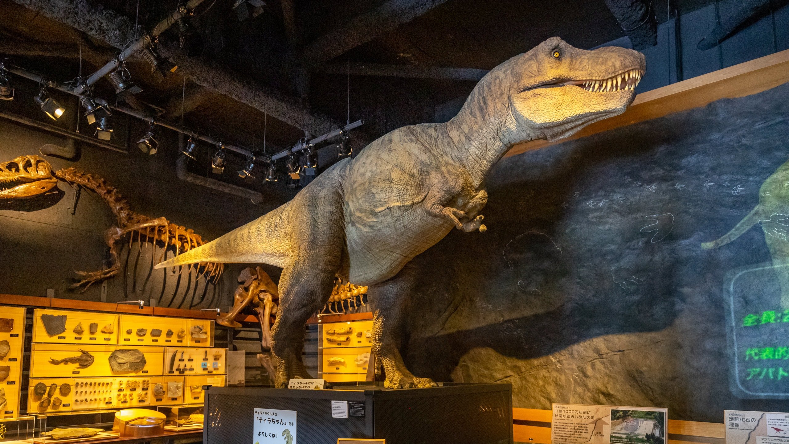 🔬 도야마시 과학박물관 (토야마시 카가쿠 하쿠부츠칸) 이미지 5